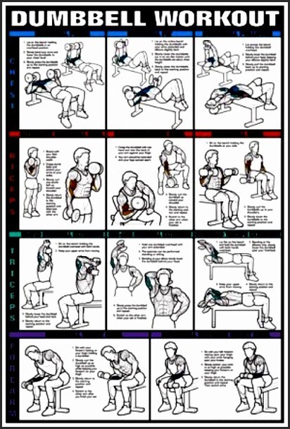 printable-dumbbell-exercises-for-seniors-alernascollections
